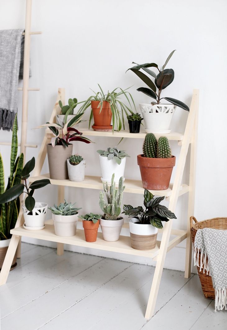Featured image of post Modern Plant Stand For Multiple Plants : Find plant stands for singular or multiple plants in modern or classic designs.
