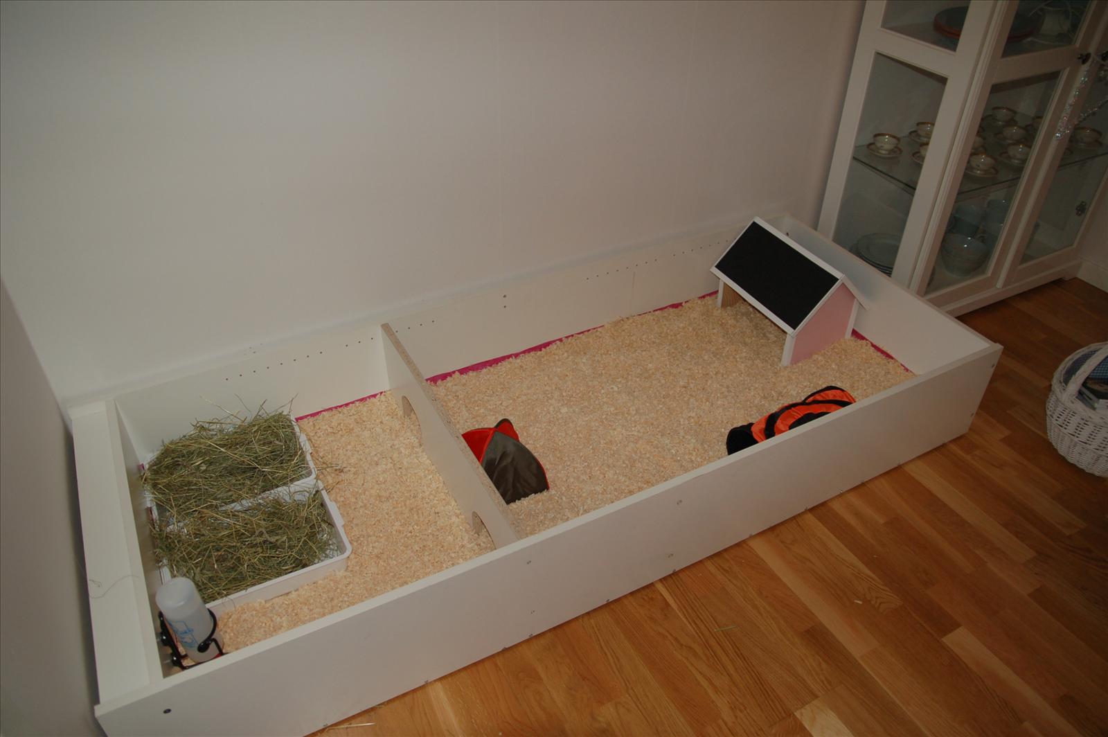 15+ DIY Guinea Pig Cage Inspiration That is Easy to Make ...