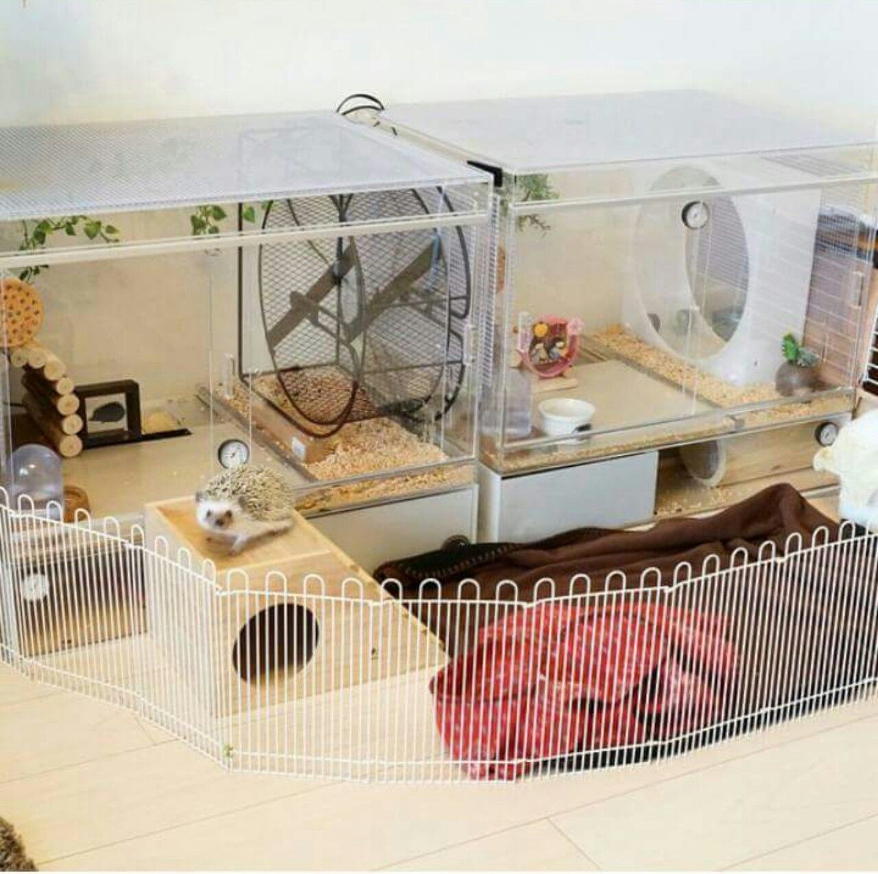 15+ DIY Guinea Pig Cage Inspiration That is Easy to Make ...