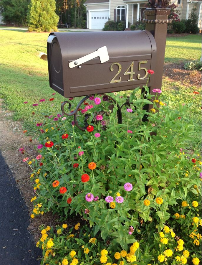 postbox flower